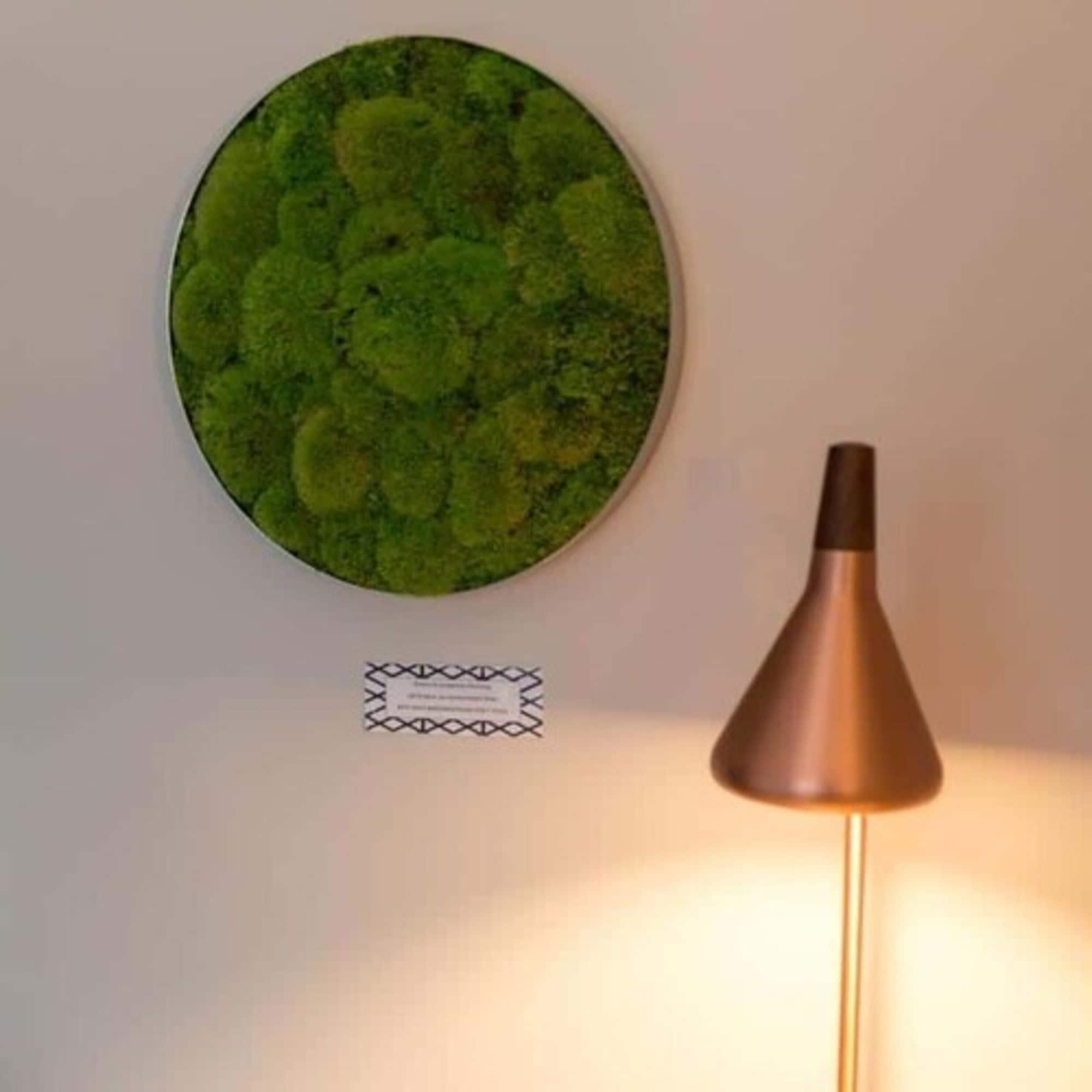 Rugs Hotel Koeln Bagian luar foto